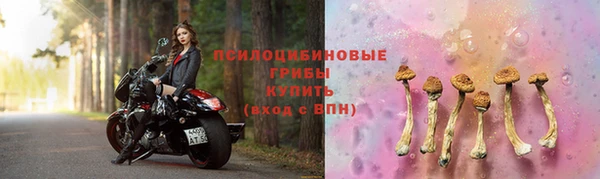 mdpv Алзамай