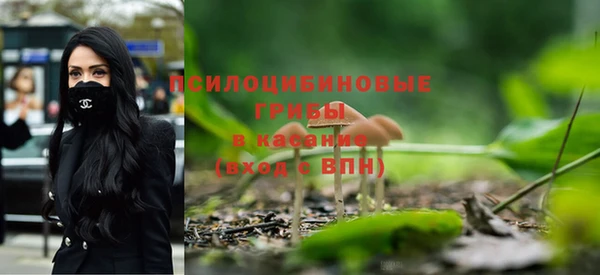 mdpv Алзамай